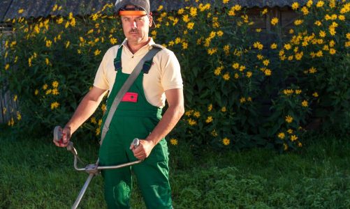 6 Ways Technology Can Boost Your Lawncare Business