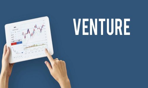 What Is Venture Capital? Advantages And Disadvantages?