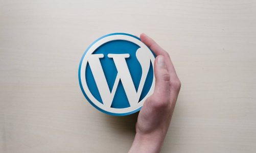What Is The Best Hosting For WordPress? 10 Points To Keep In Mind