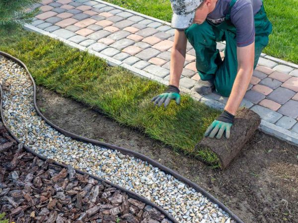 landscaping-business