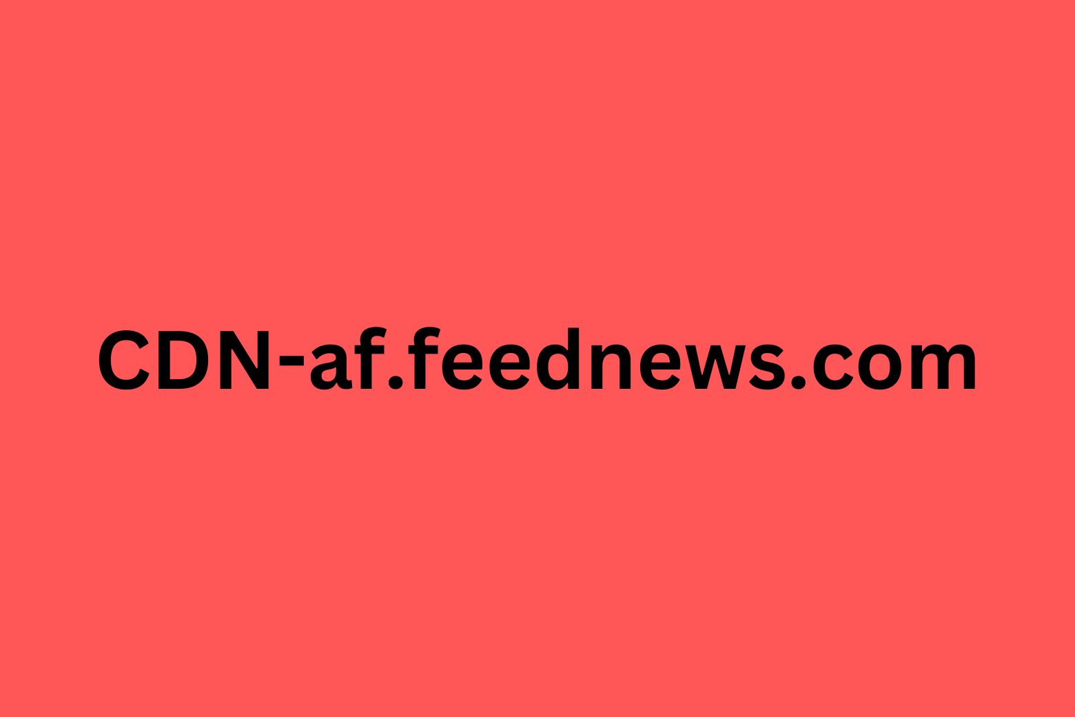 CDN-af.feednews.com