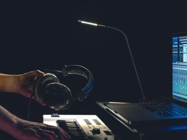 MusicAlligator