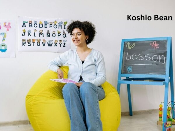 Koshio Bean Bag