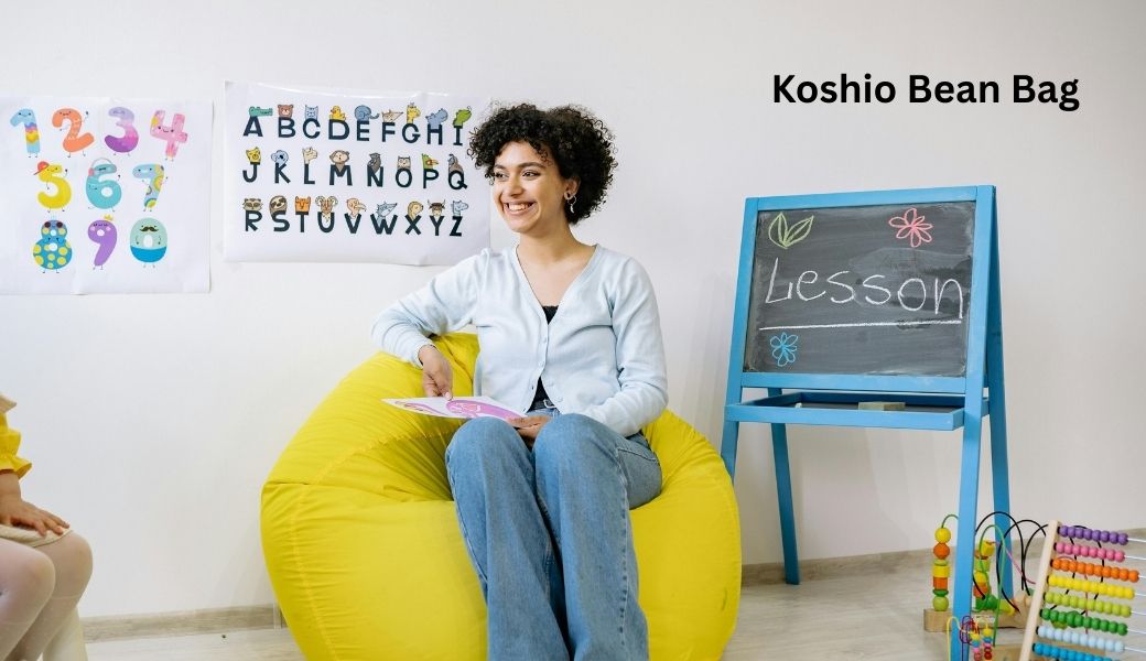 Koshio Bean Bag
